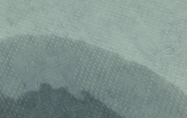 D-TEX Flushable spunlace nonwoven fabric for wet wipes (Cartoon Crocodile), fully degradable